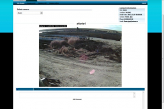 Live Streaming Services